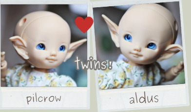 twins_2.png