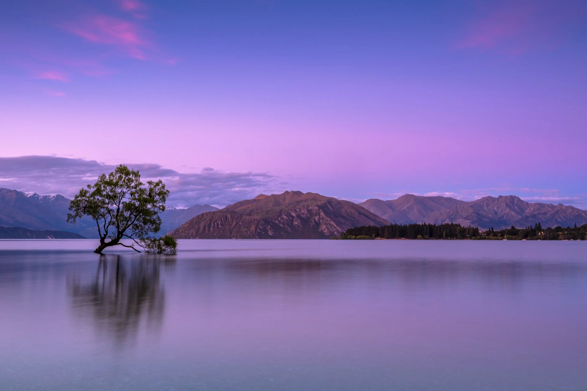 serene lake view in purple