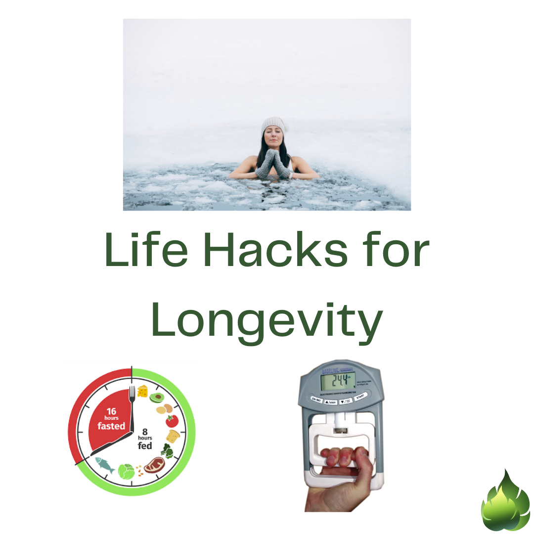 Life Hacks for Longevity