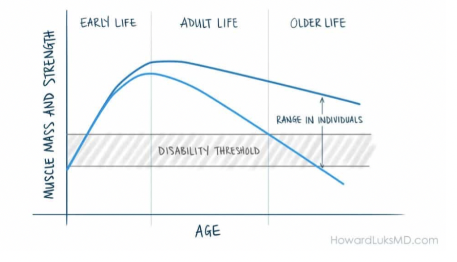 Lean Body Mass & Longevity