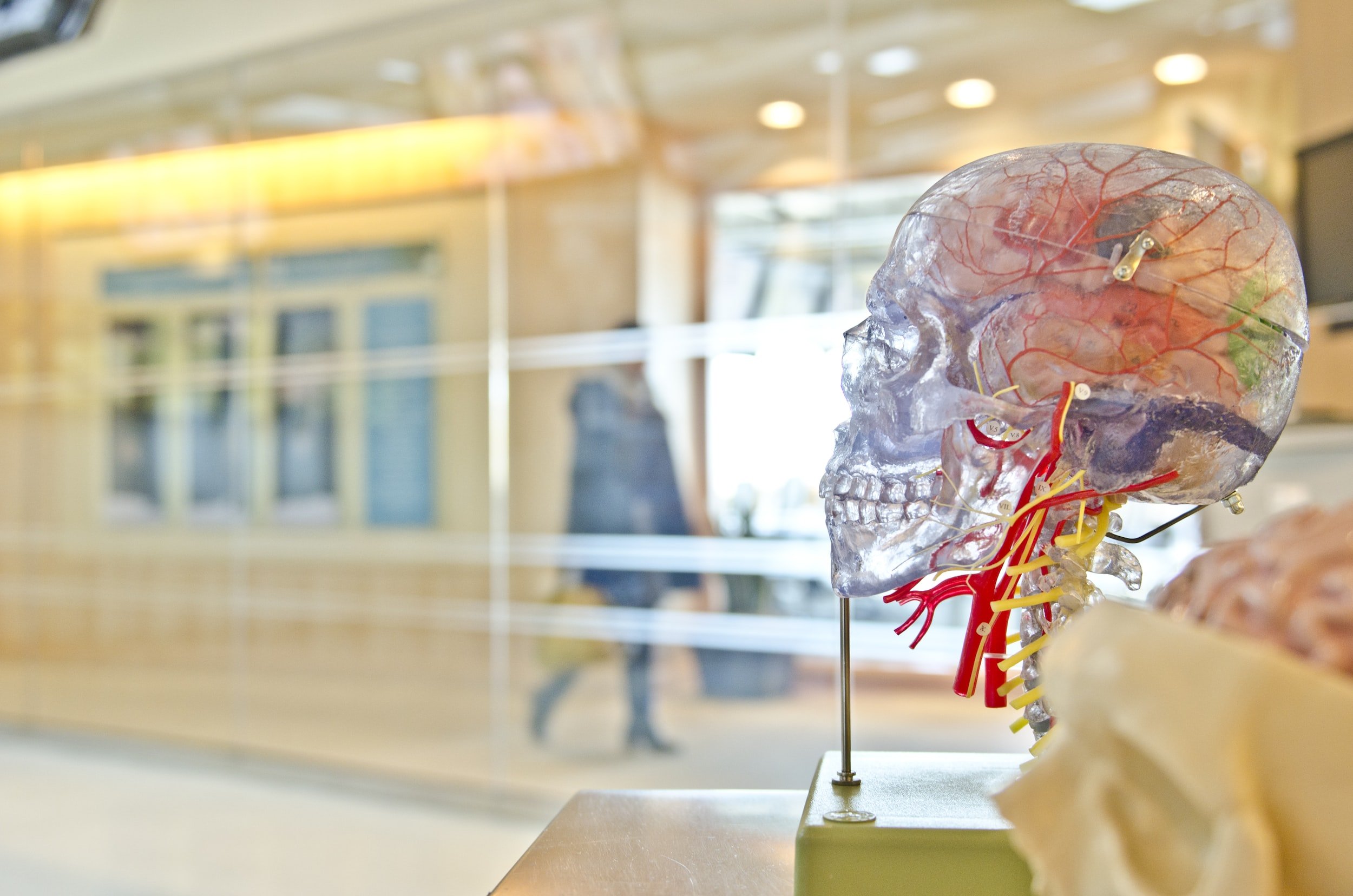 NeuroCatch: Neurotechnology for Longevity
