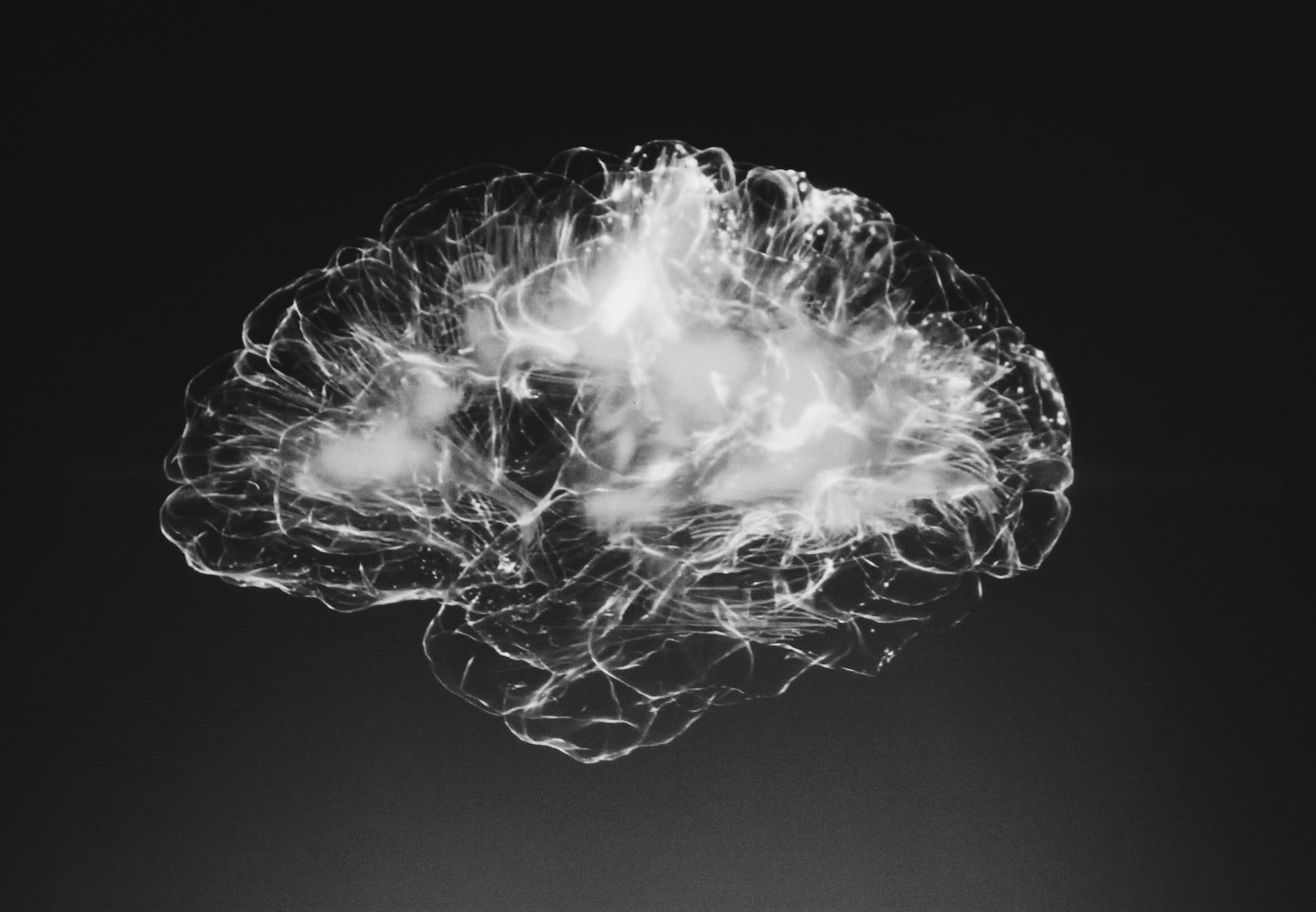 Brain Fog & Longevity