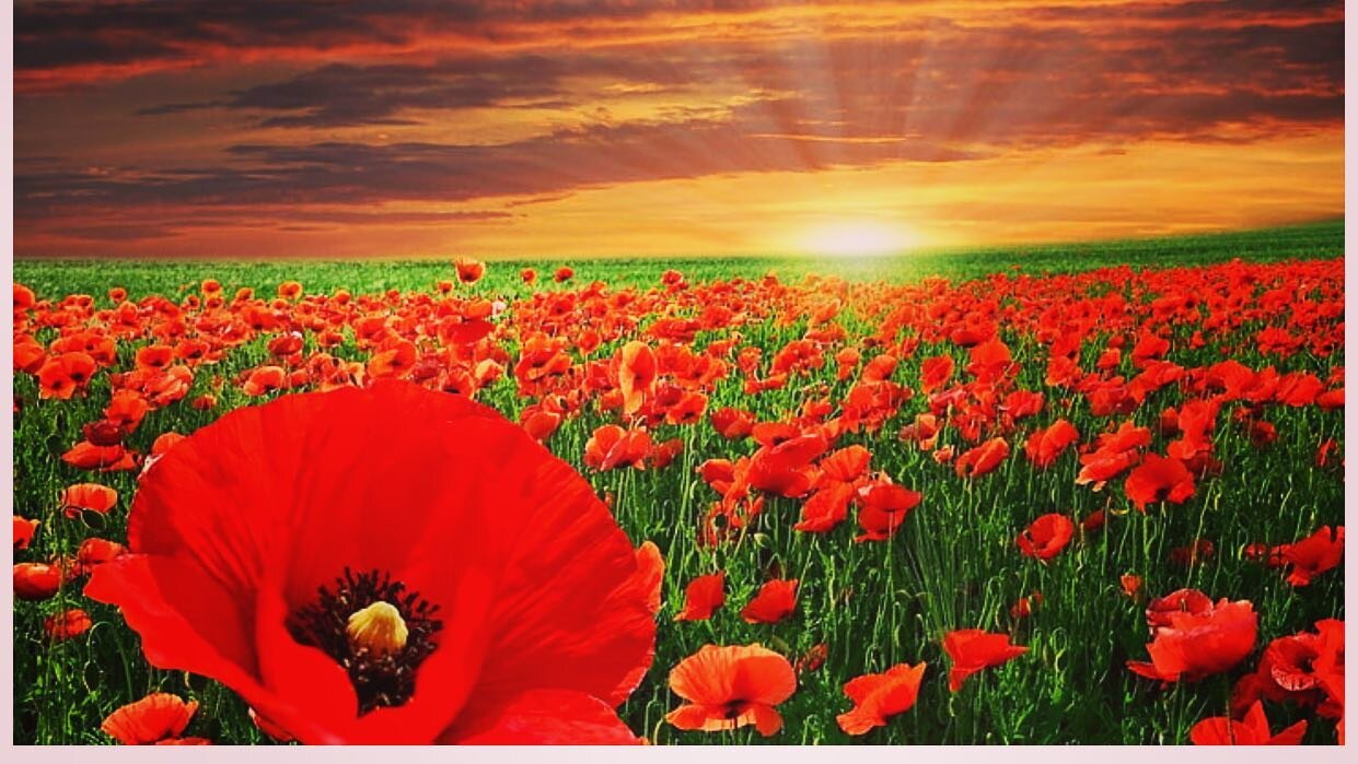 Lest we Forget. 

We are open until 2pm today. 

🇦🇺🇳🇿