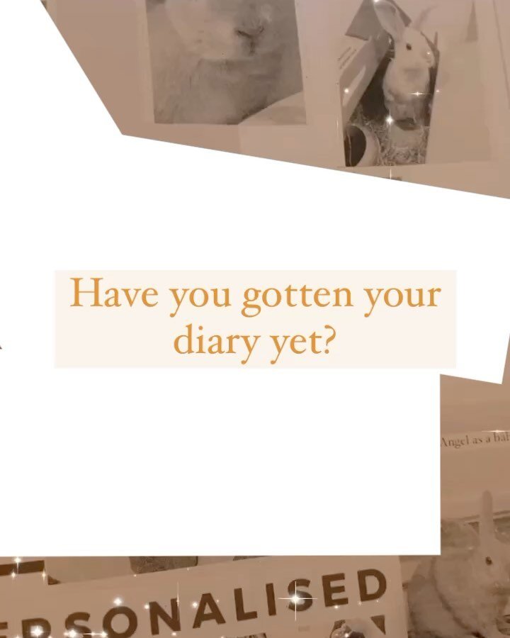 Our Rabbit Diary arrived this week and I am so excited for you guys to place your order and see how amazing it is!

Bunmom and I are super excited to inform you all that our Rabbit Diary is officially ready to take in orders. We are also in store and