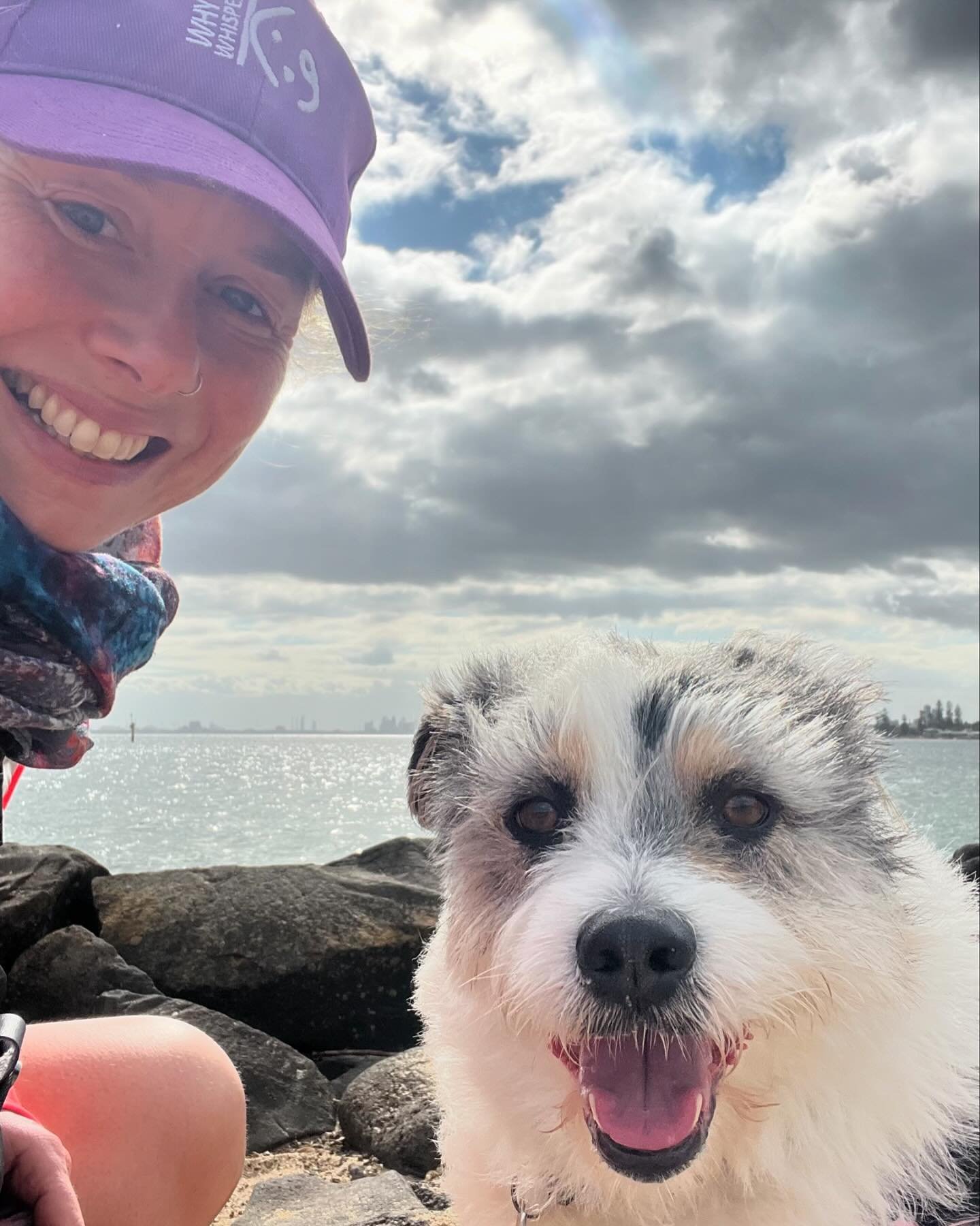 🙋🏼&zwj;♀️Just a Sunday kind of love! 🥰 
#dogtrainerslife #happiness #spoodle #shitzucross #love #sunday #sundayfunday #beachlife #park #lovemyjob #whytewhispers