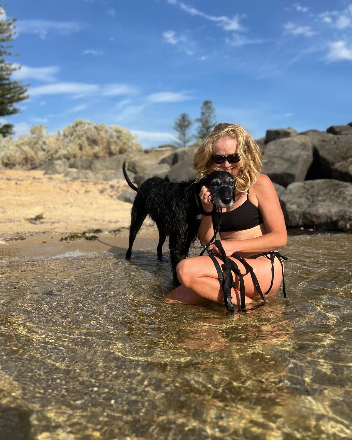 🙋🏼&zwj;♀️Living the best life with very special pooches and friends that take special shots!🙏

A special thanks to @river__jones for taking such good care of Misty, training her and transforming her in the new dog she is today. 
#rescuedog #rescue