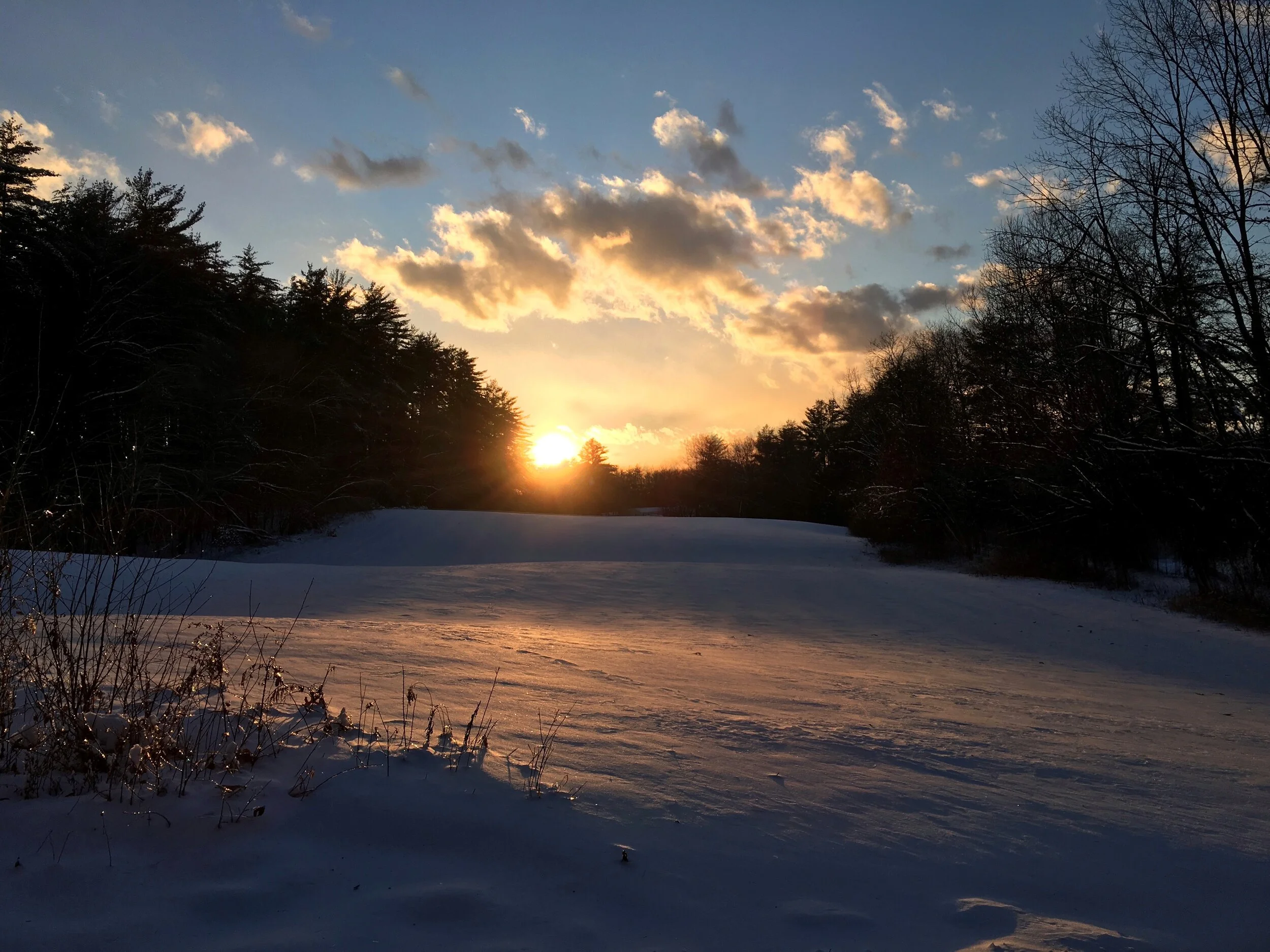 Introduction to Issue Three