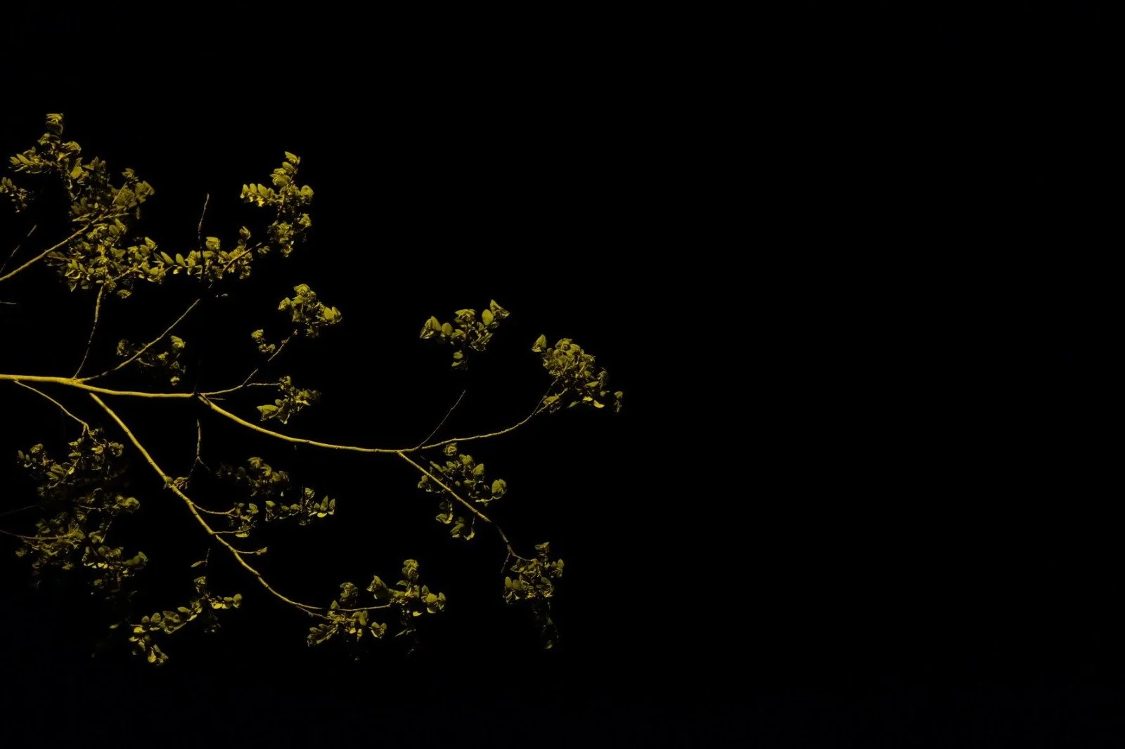 Everything It Took to Make Her