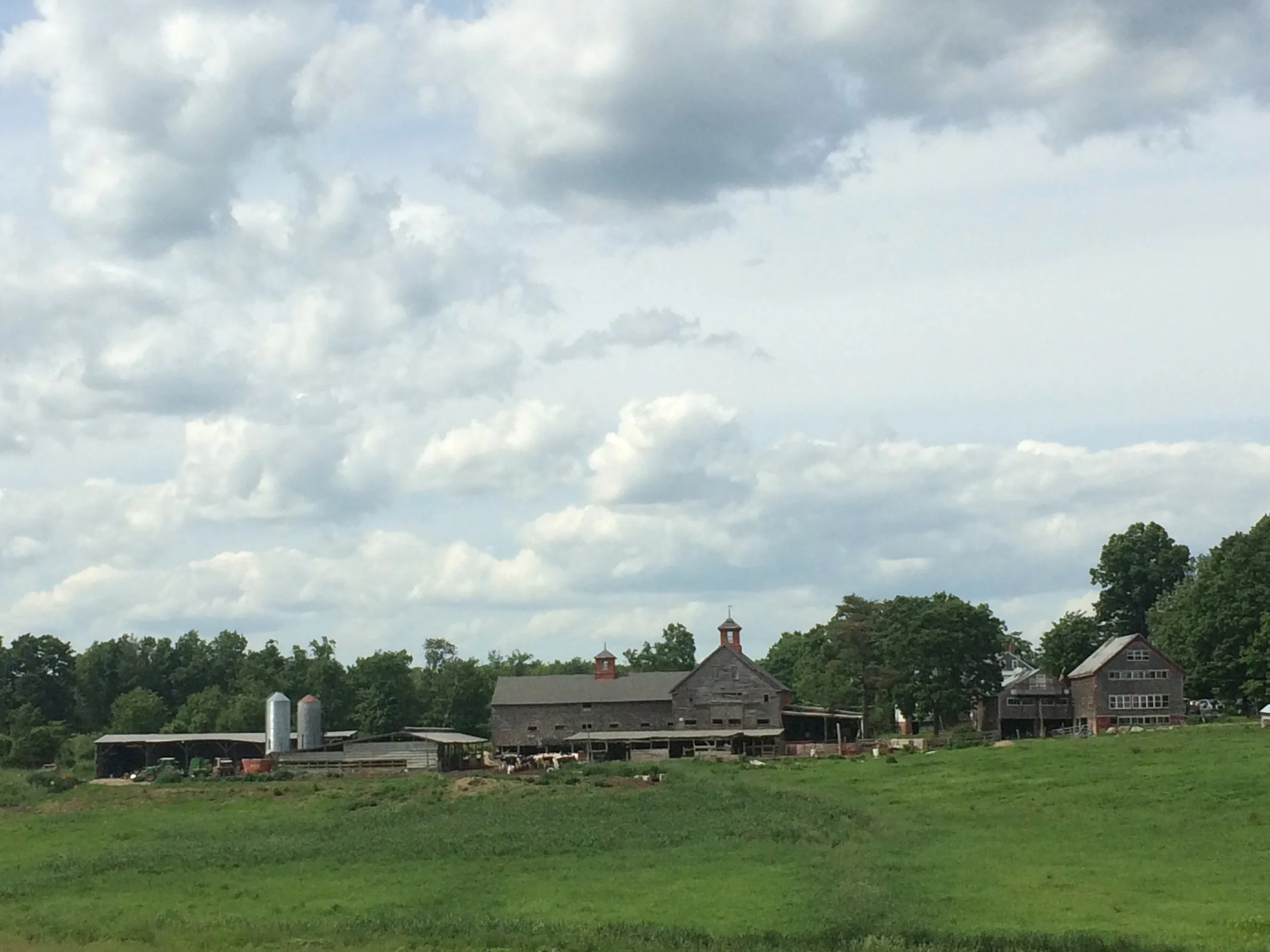 what was it but a spring, that coursing of something unnamed only later experienced as loss—