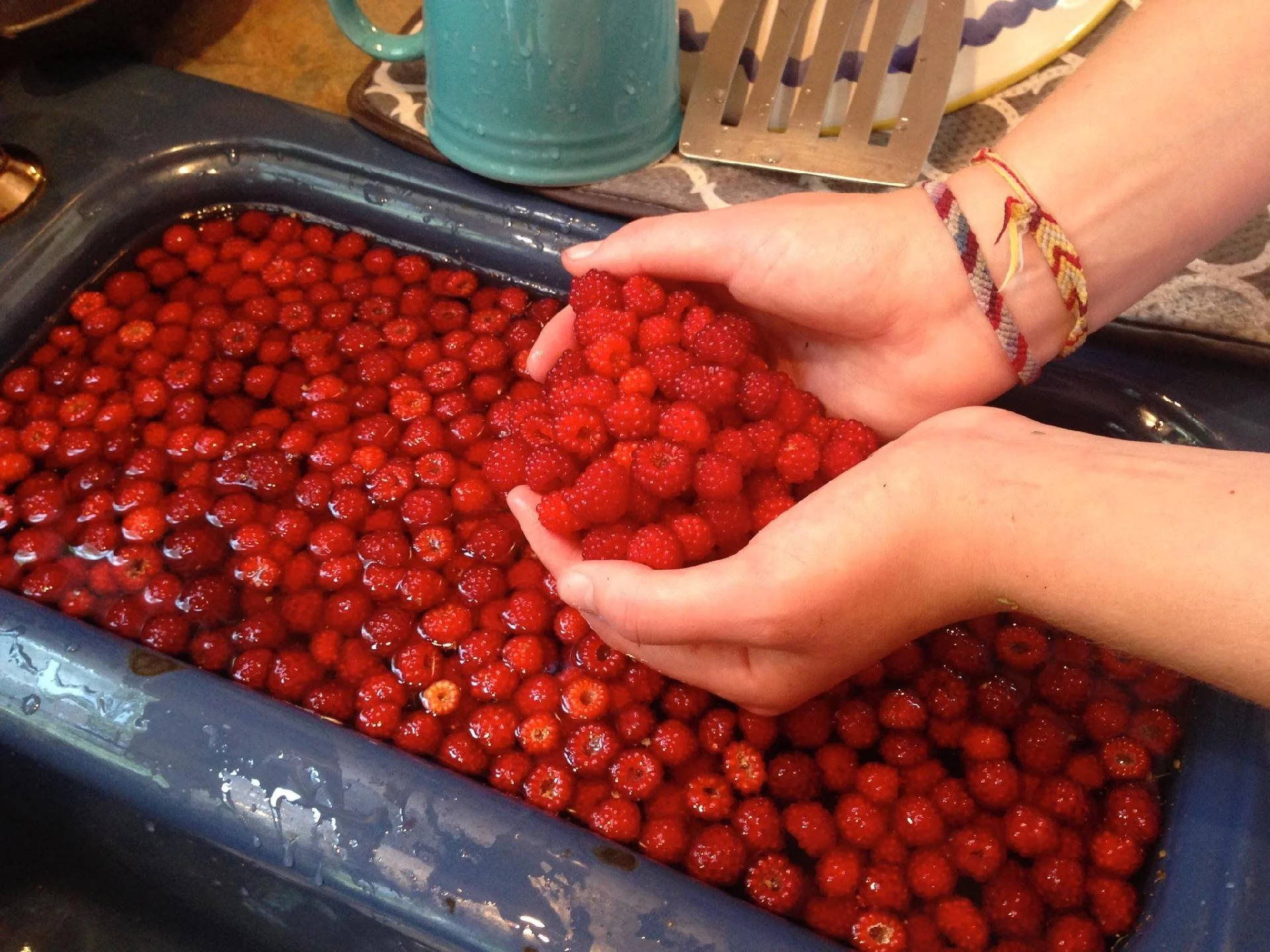 Wild Berries Close to Home