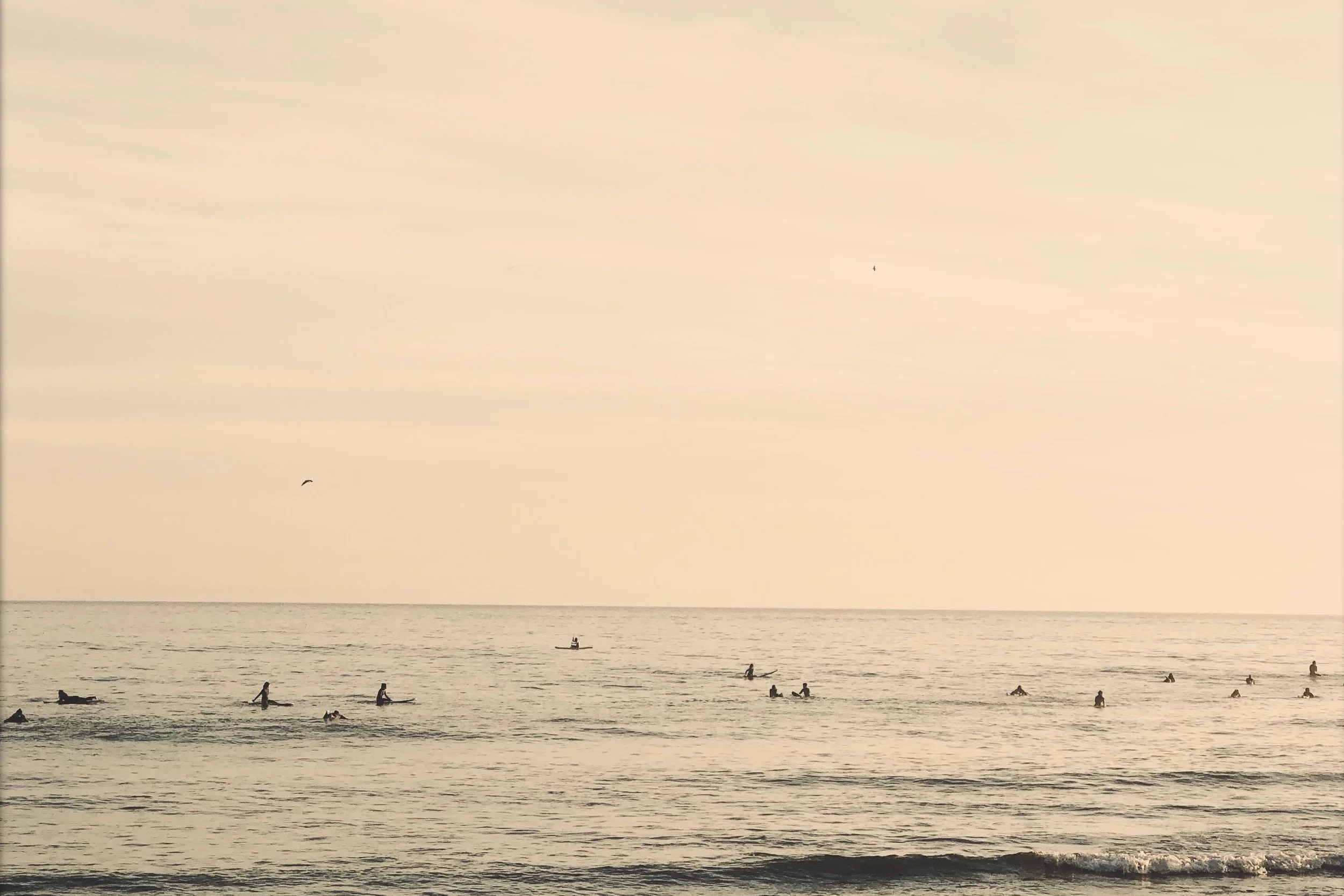 Swallowed by the Sea