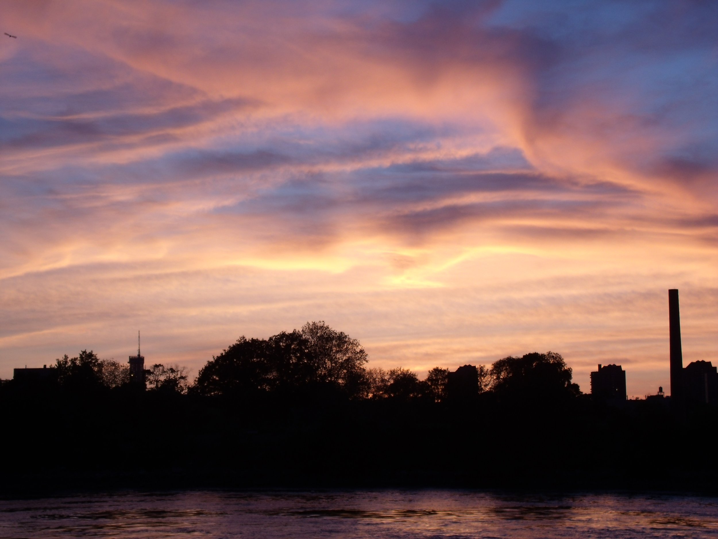 Introduction to Issue Thirteen