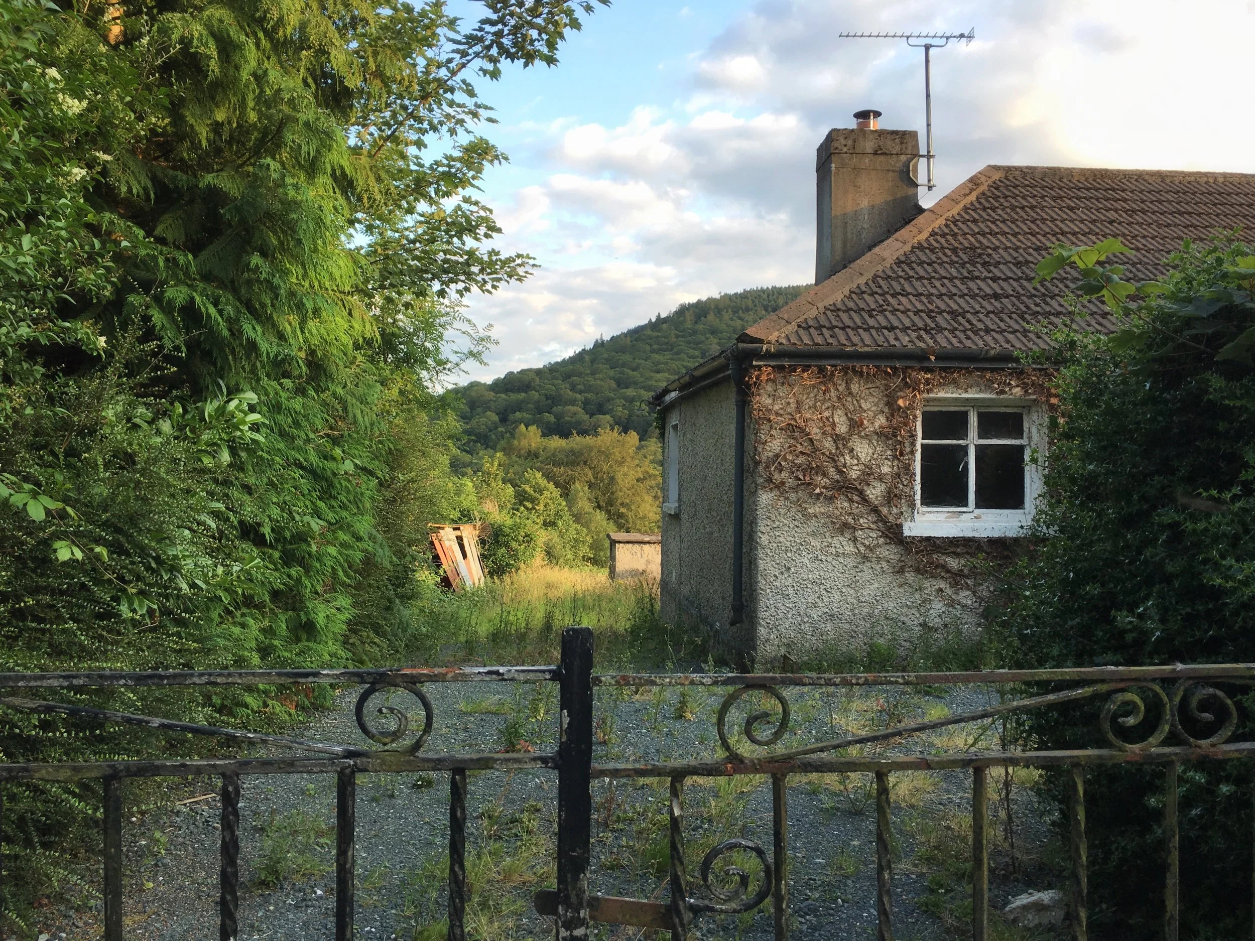 Introduction to Issue Fourteen