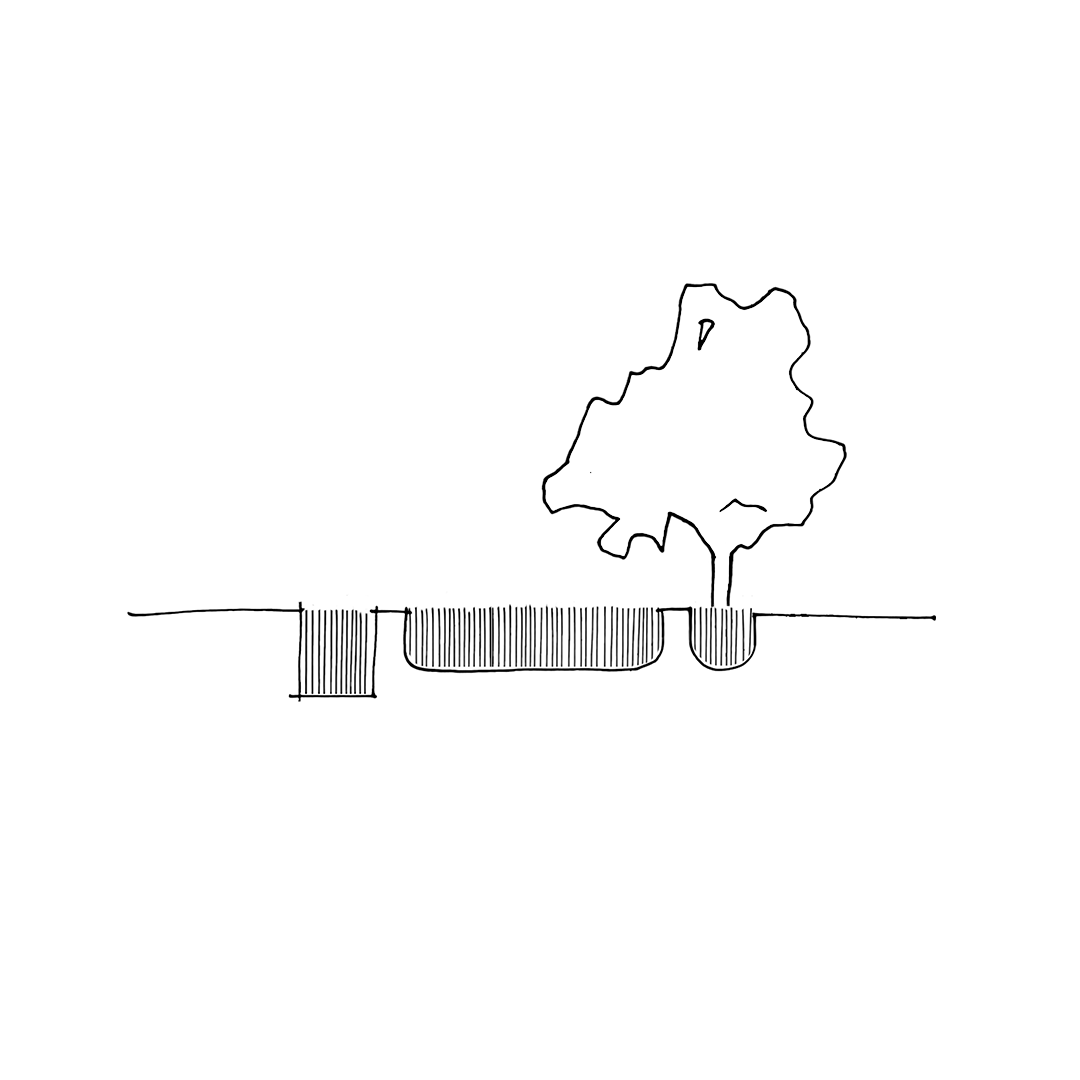 Hand-drawn cross-section diagram of a tree with labeled underground roots extending through soil.