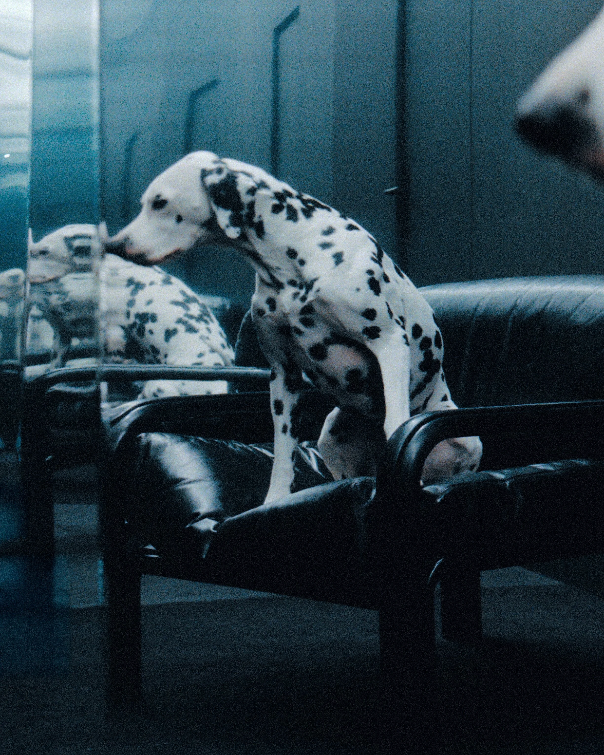 2025_03_21_Vincent_Cassel2684.CR3.jpg