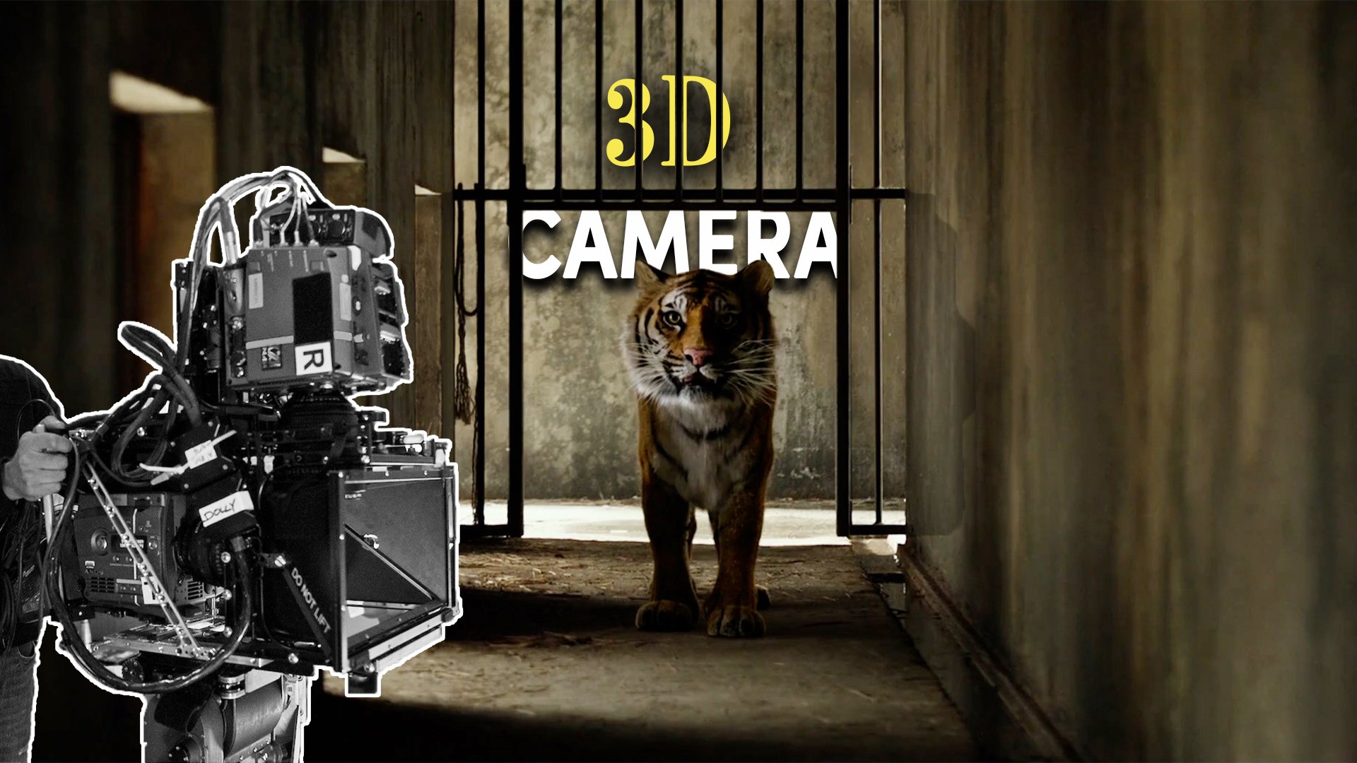 3D Printable Bengal Tiger Sit by Animal Den Miniatures