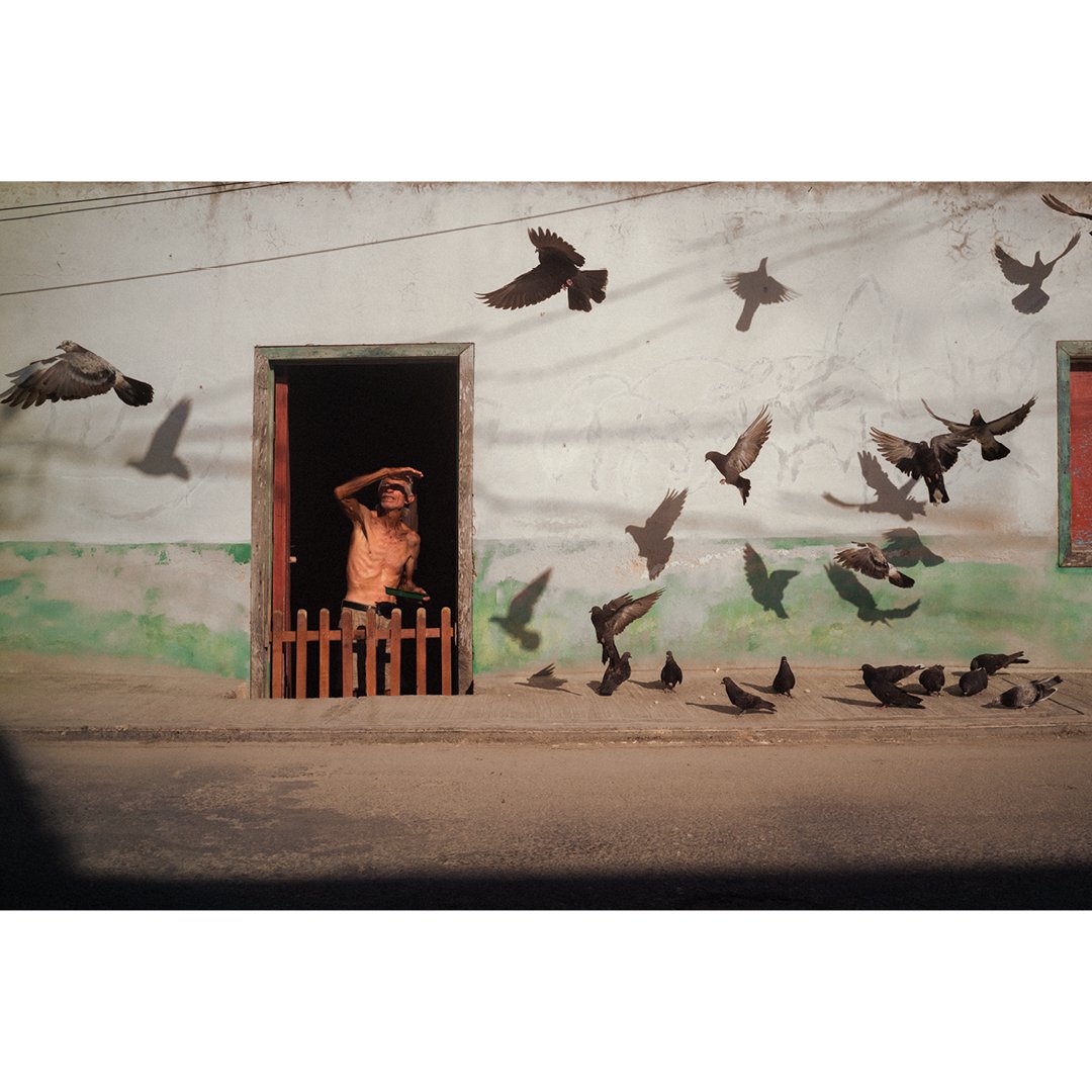 Mauricio Sierra - Ciela 3