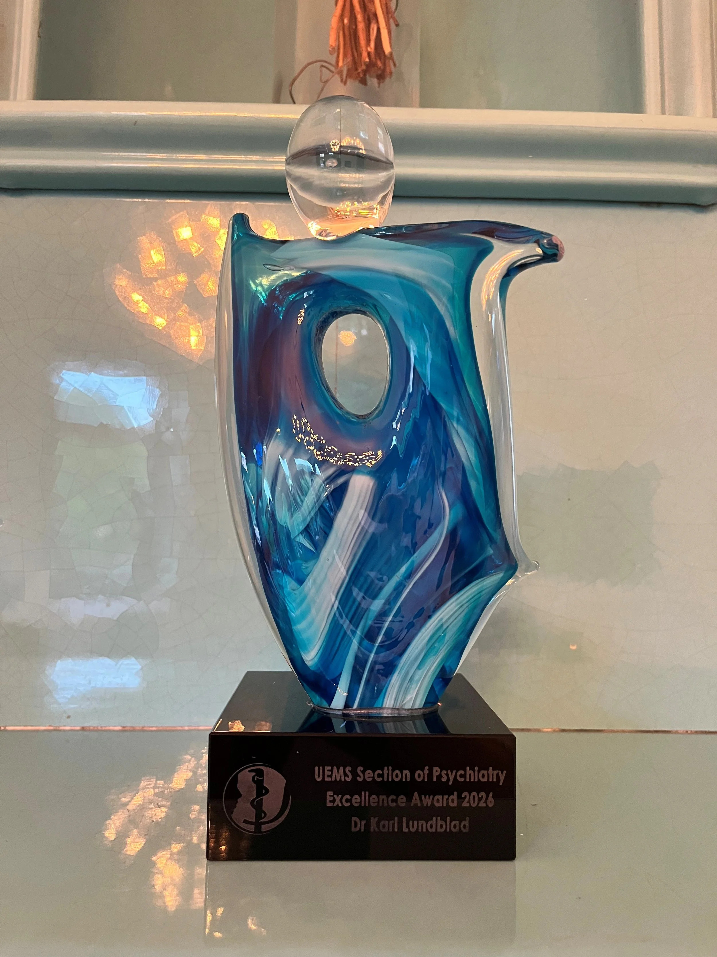 Excellence Award.jpg