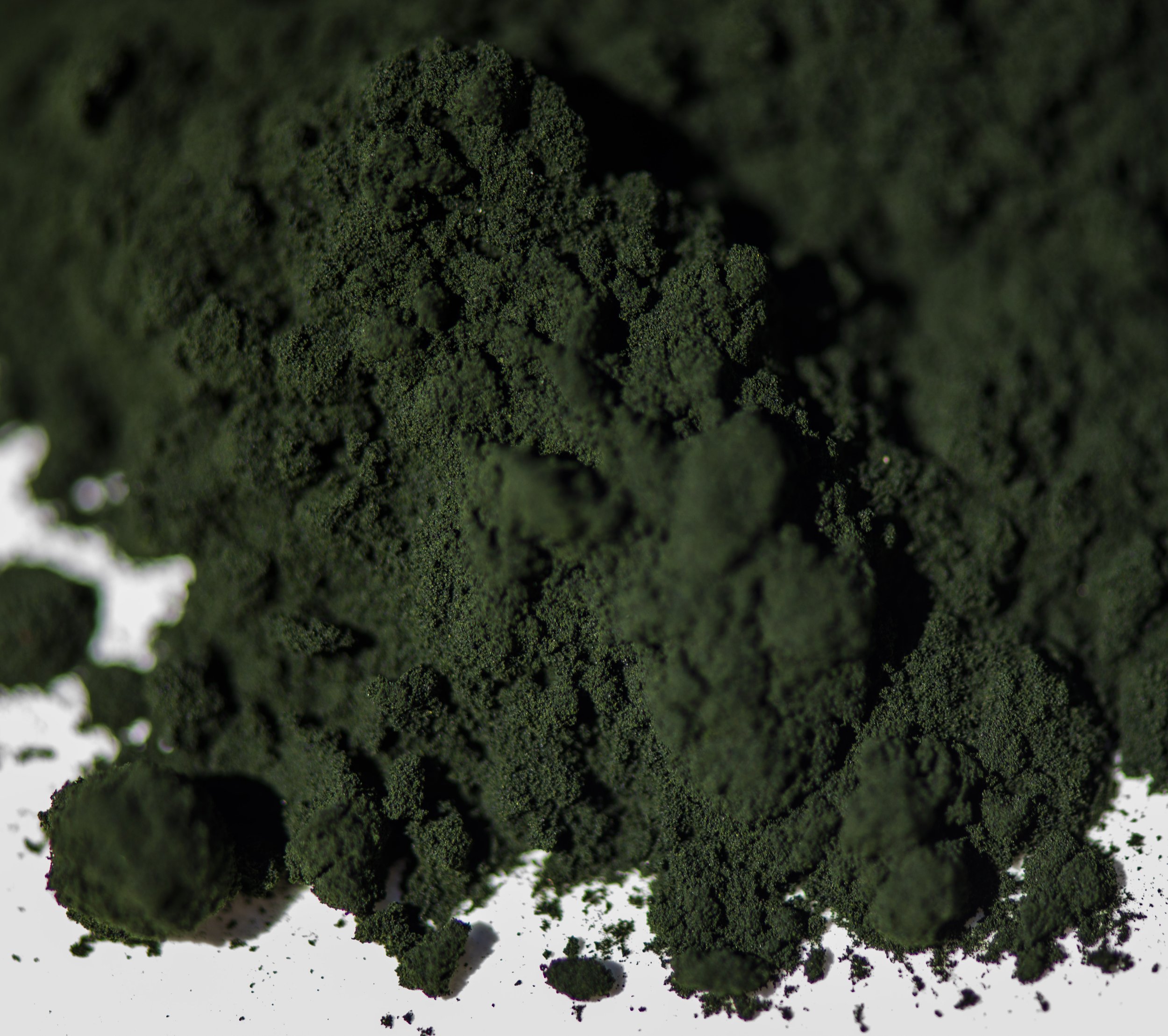 3 Questions to Ask About Spirulina | G's Organic Solutions — G's Organic  Solutions