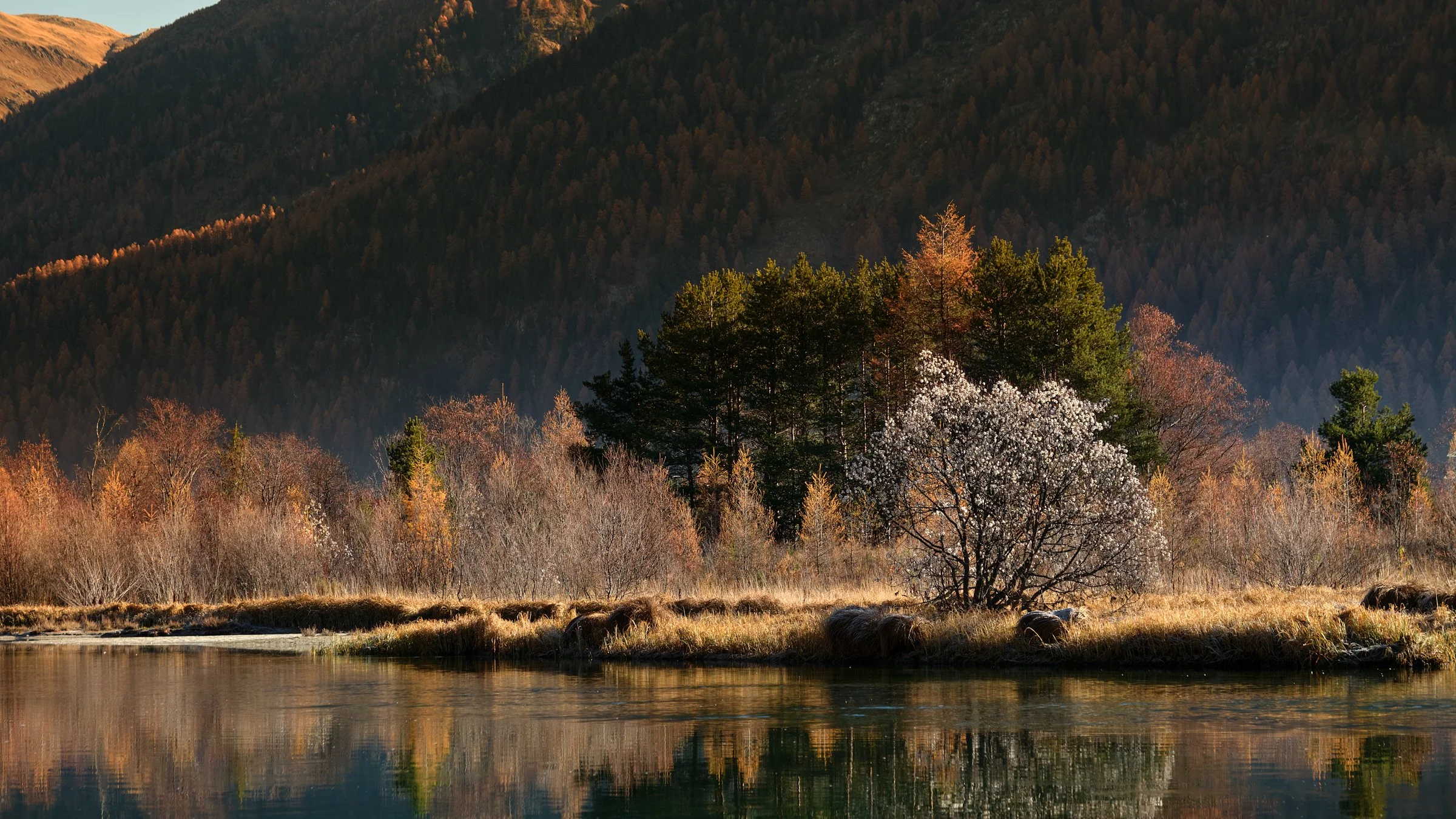 _DSF7949 2.jpg (Copy)