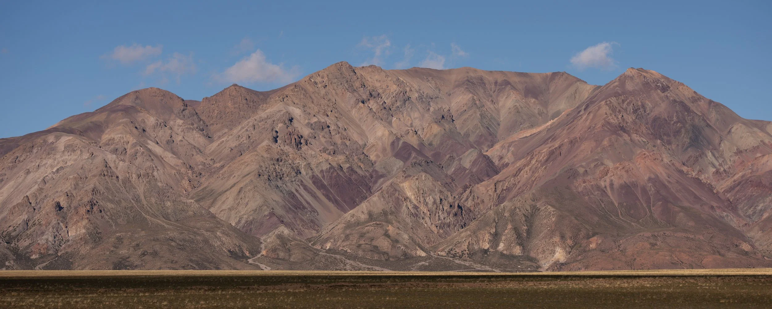_DSC6495.jpg