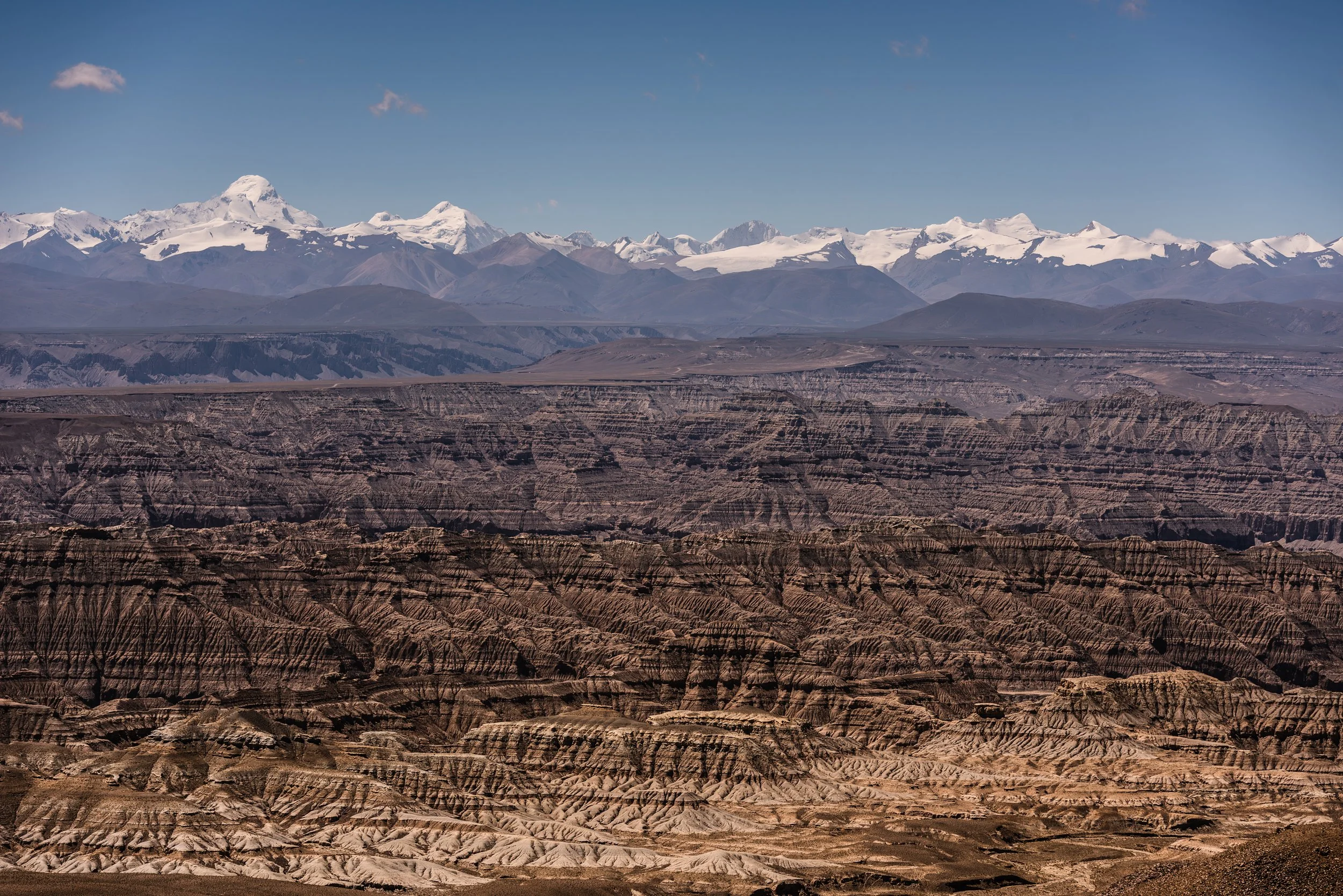 _DSC6679.jpg