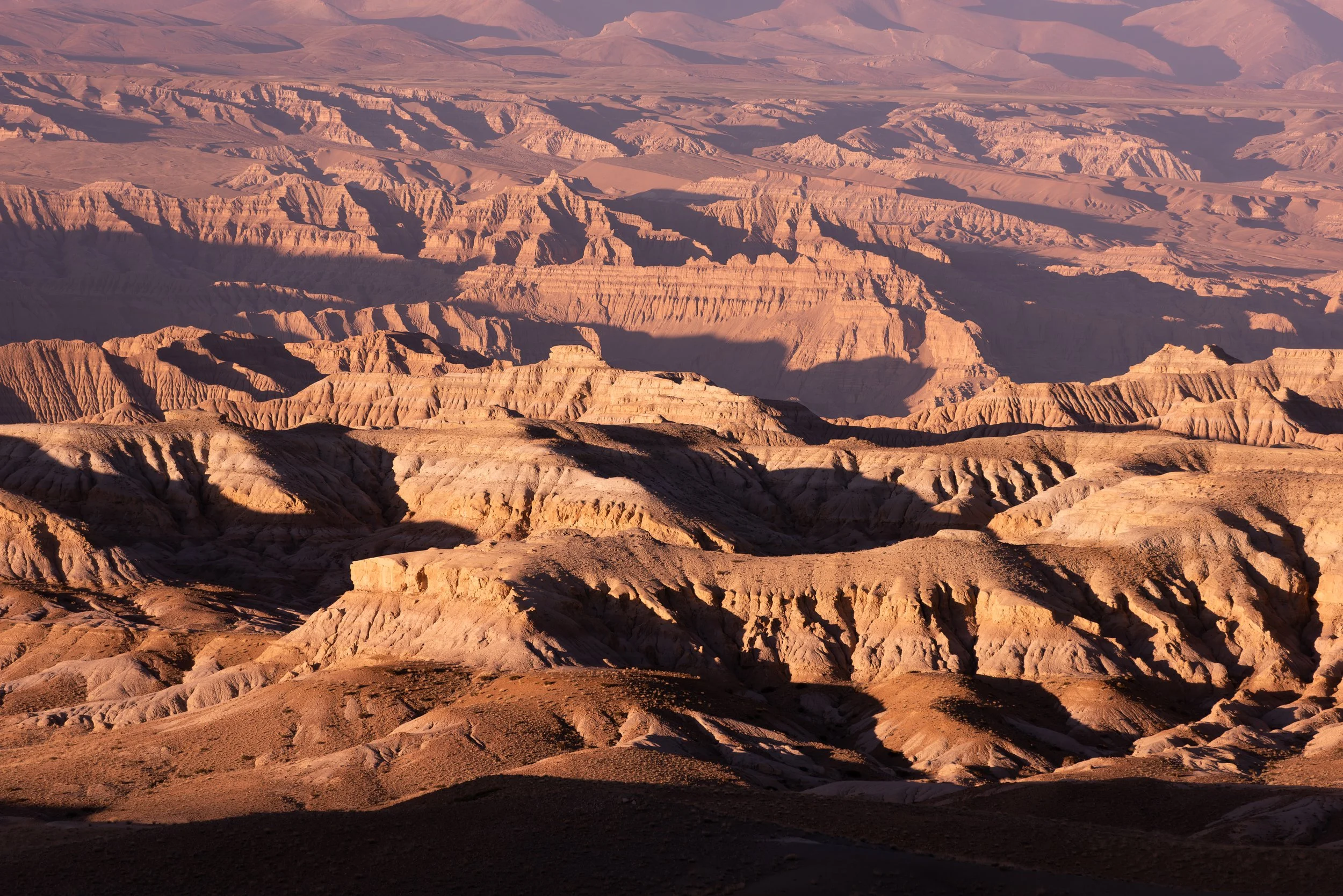 _DSC7175.jpg