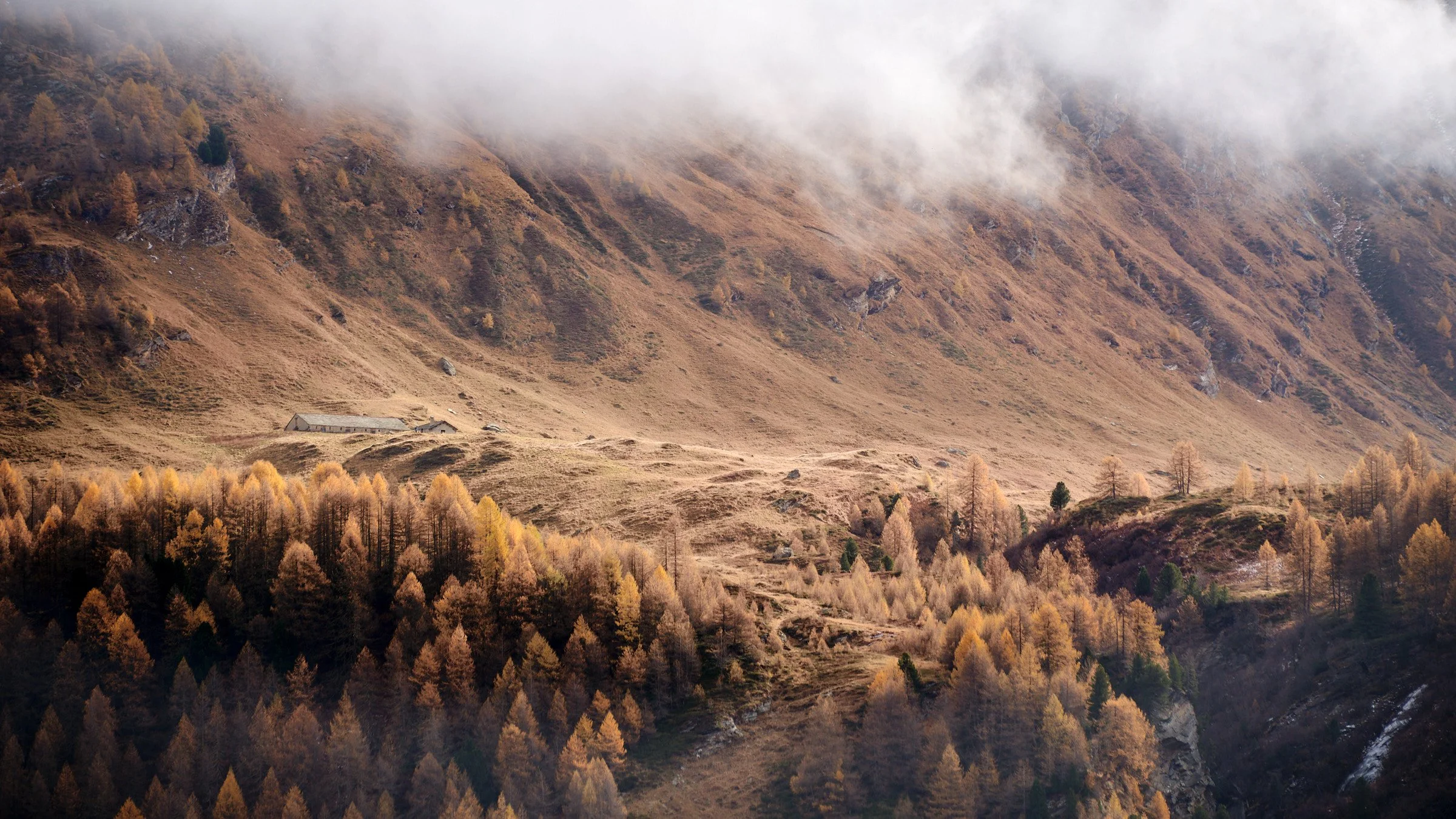 The Art of Indian Summer Kaufmann