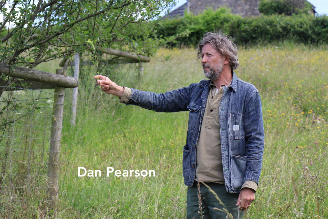 Dan Pearson