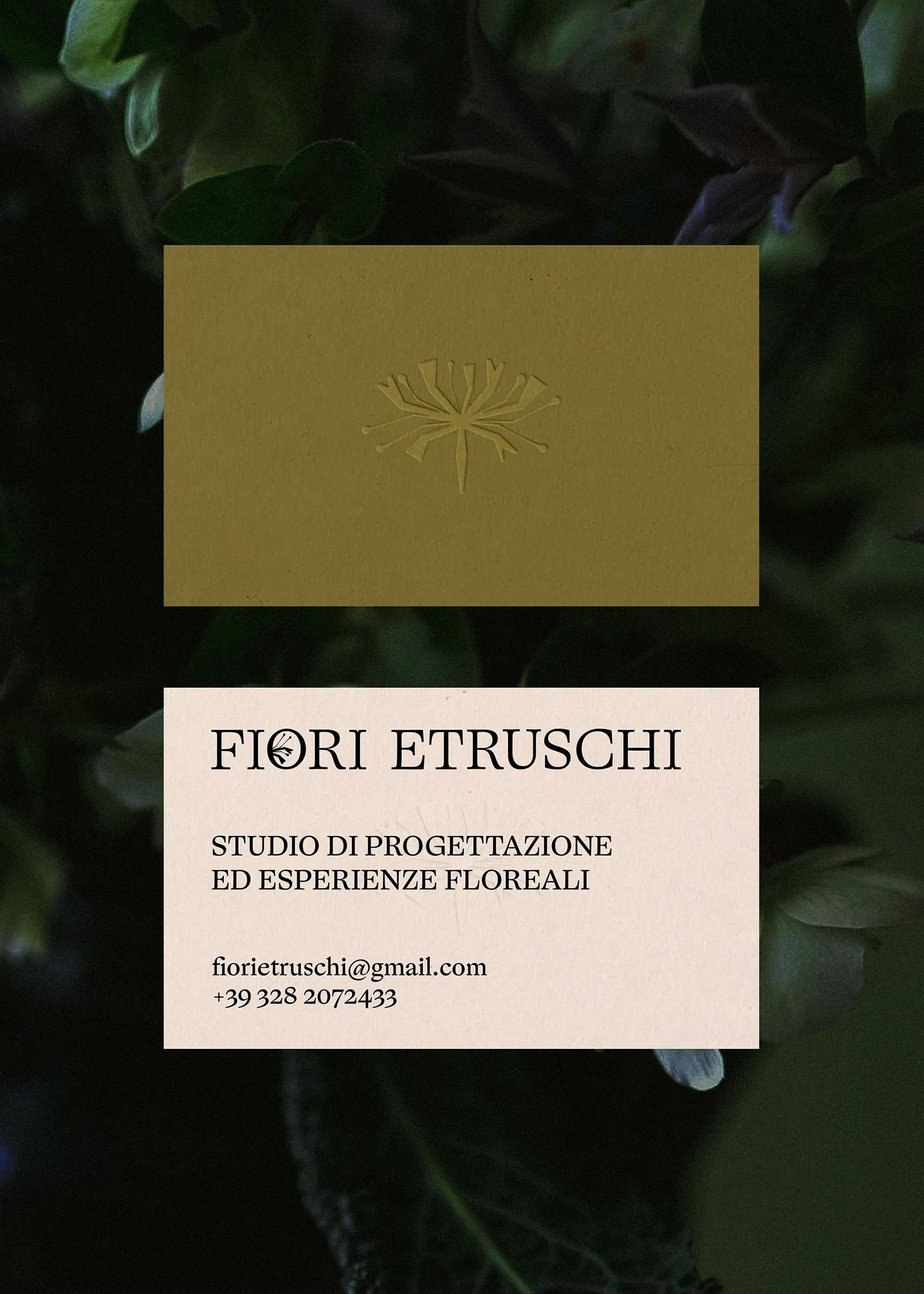 Fiori Etruschi_Cards.jpg