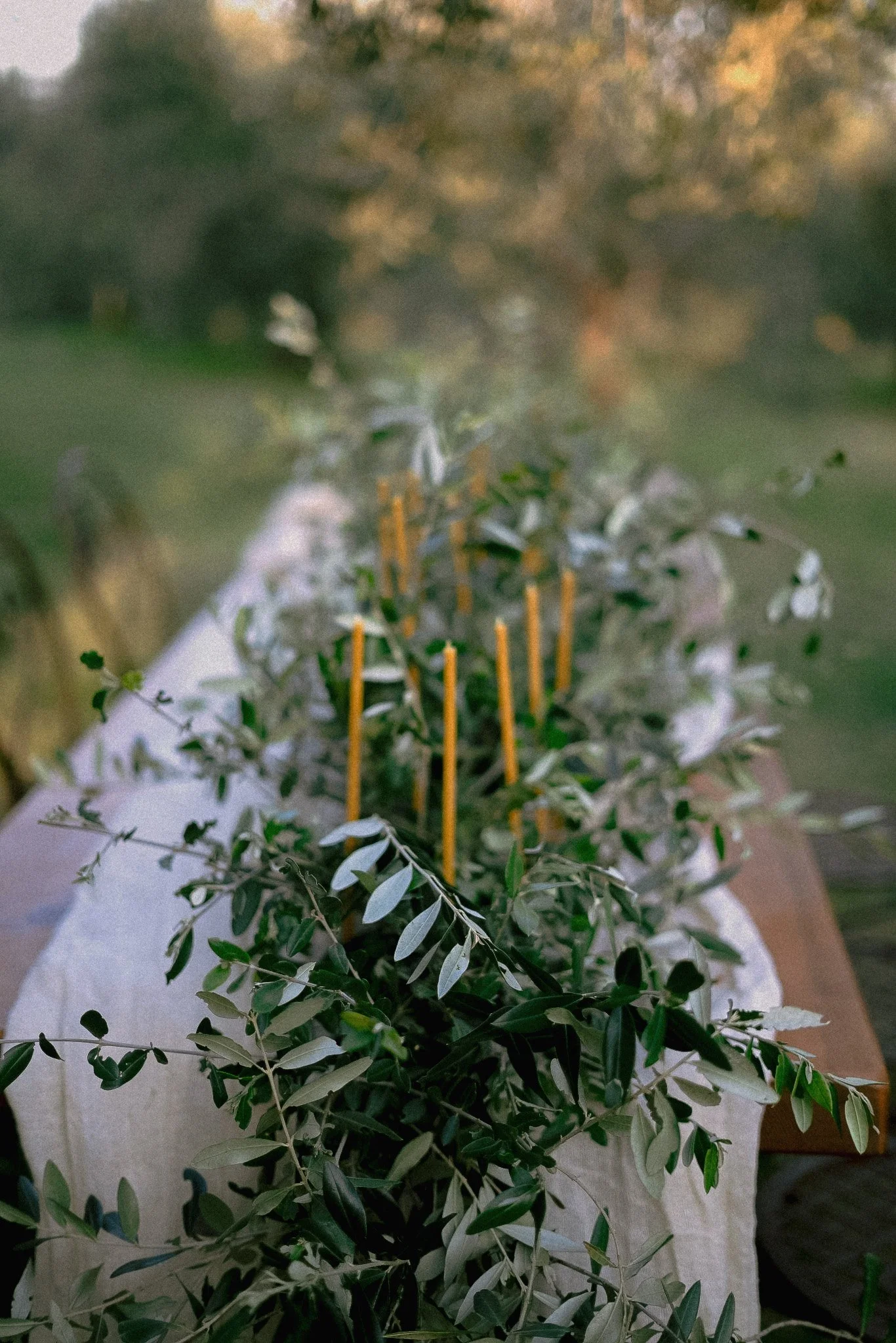 Fiori Etruschi_Materico.jpg