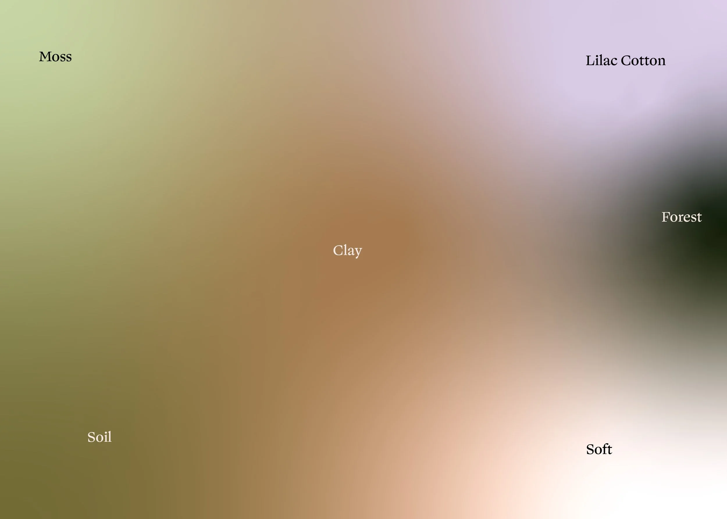 Fiori Etruschi_Gradient Palette.jpg