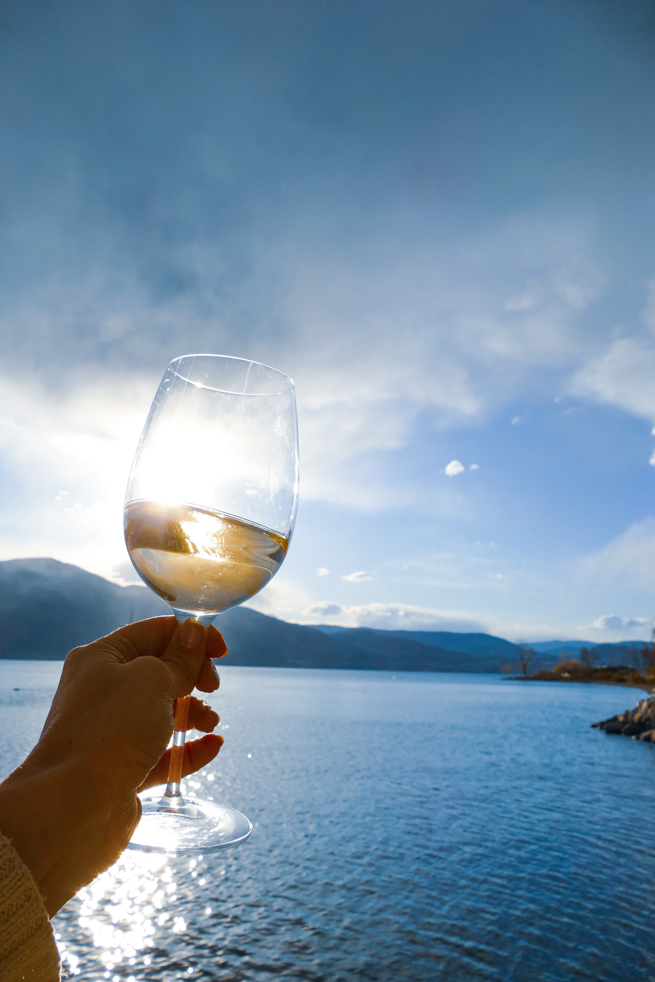Wine Views.JPEG