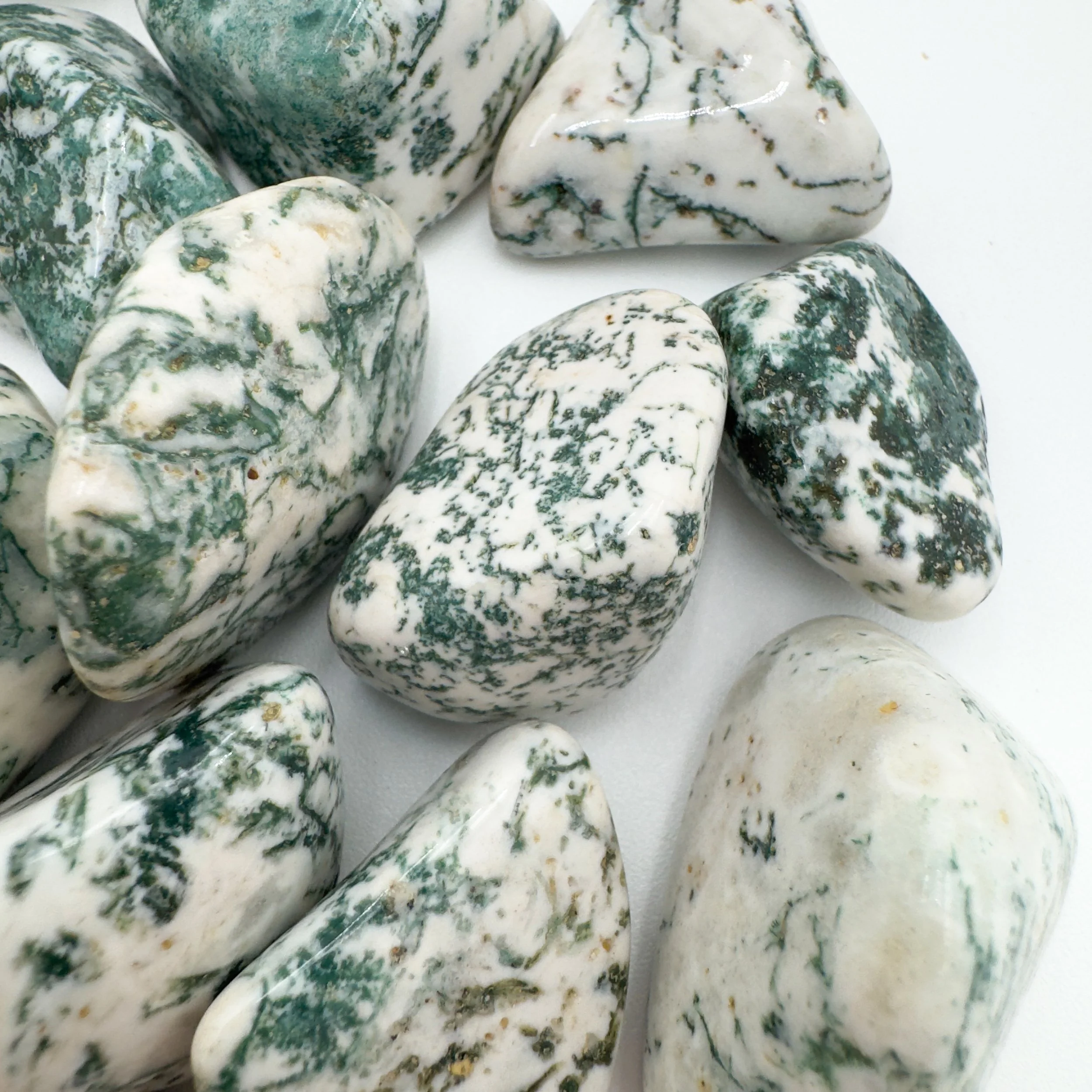 Tree Agate Tumbled Stones (1-1.50 Inch - A Grade - 16-24 Pieces Per Pound) Ethically Sourced from Botswana - Beyond Bohemian