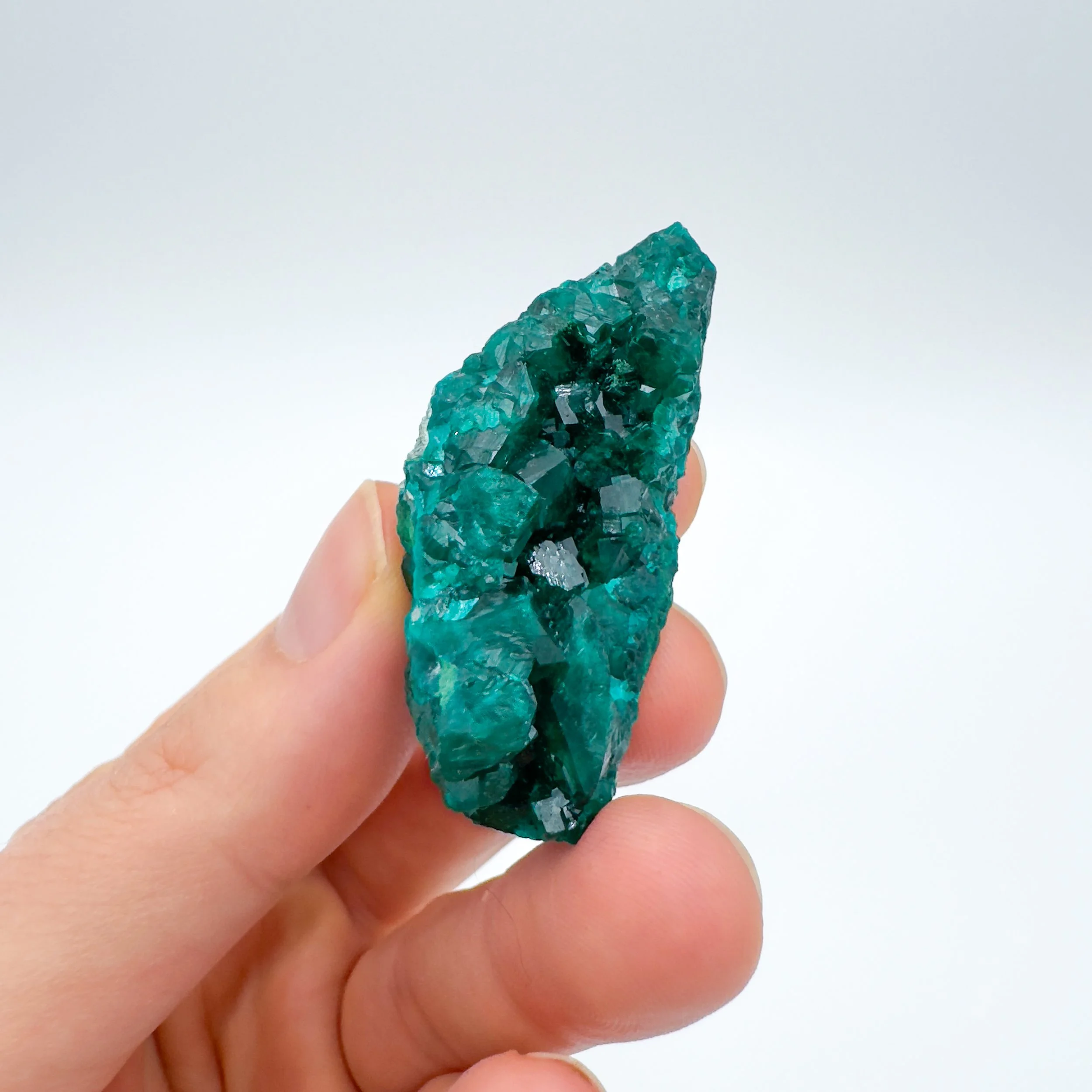 Dioptase Raw Crystal Specimen 9003.jpg