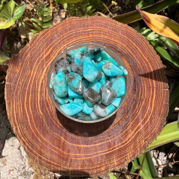 https://i.etsystatic.com/12652071/r/il/00ef79/3126219941/il_570xN.3126219941_b6ht.jpg