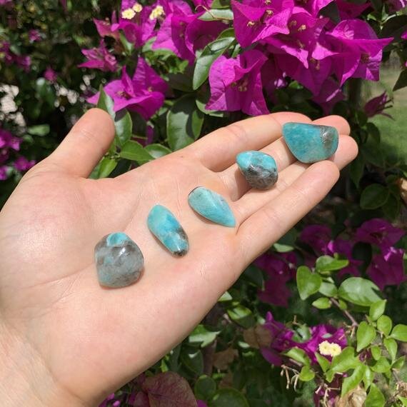 https://i.etsystatic.com/12652071/r/il/1be9db/3078481080/il_570xN.3078481080_g62w.jpg