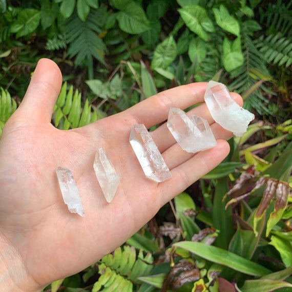 Clear Quartz Raw Crystal Points (1-2 Inch - AA Grade - 16-24 Pieces Per Pound) Ethically Sourced from Arkansas - Beyond Bohemian