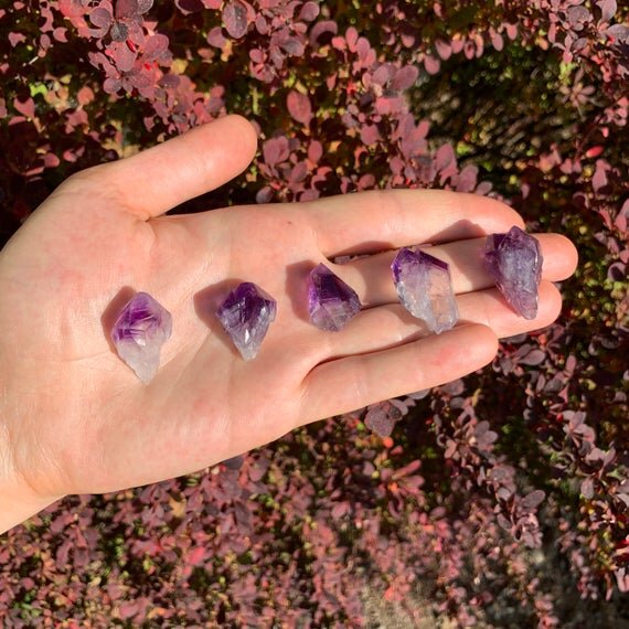https://i.etsystatic.com/12652071/r/il/3dea4b/2584462115/il_570xN.2584462115_am42.jpg