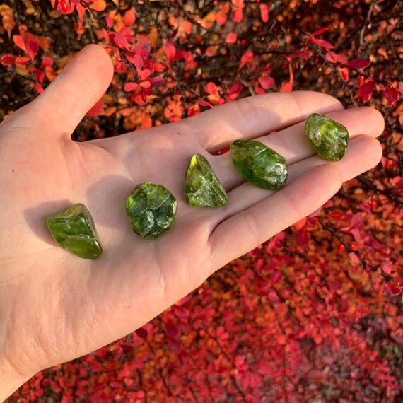 Peridot Tumbled Stones (0.50-1 Inch - AA Grade - Per Piece) Ethically Sourced from Arizona - Beyond Bohemian