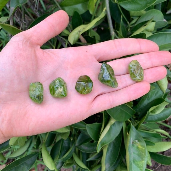 Peridot Tumbled Stones (0.50-1 Inch - AA Grade - Per Piece) Ethically Sourced from Arizona - Beyond Bohemian