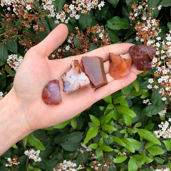 Carnelian Raw Stones (1-2 Inch - AA Grade - 20-32 Pieces Per Pound) Ethically Sourced from Madagascar - Beyond Bohemian