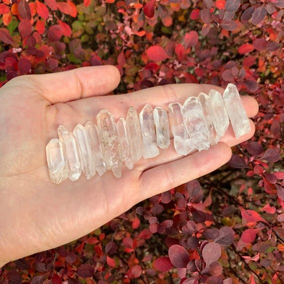 Clear Quartz Raw Crystal Points (0.50-1.50 Inch - A Grade - 80-160 Pieces Per Pound) Ethically Sourced from Madagascar - Beyond Bohemian