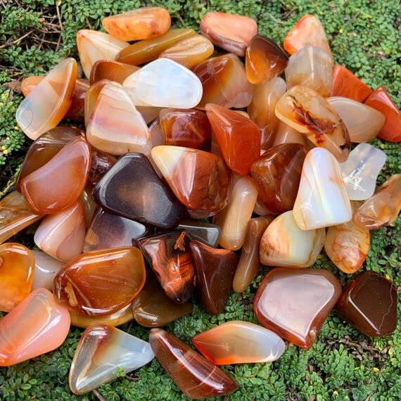Carnelian Tumbled Stones (0.50-1 Inch - AA Grade - 64-128 Pieces Per Pound) Ethically Sourced from Madagascar - Beyond Bohemian
