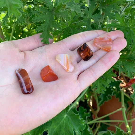 Carnelian Tumbled Stones (0.50-1 Inch - AA Grade - 64-128 Pieces Per Pound) Ethically Sourced from Madagascar - Beyond Bohemian