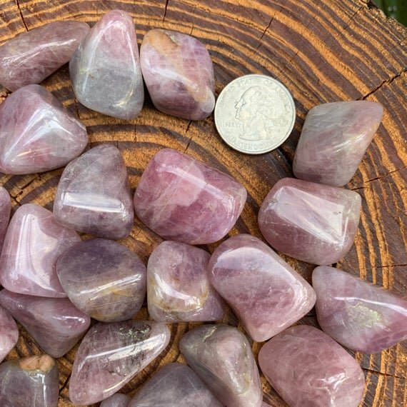 https://i.etsystatic.com/12652071/r/il/3f8262/3143677011/il_570xN.3143677011_joqz.jpg