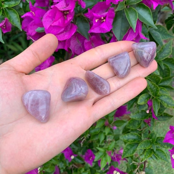https://i.etsystatic.com/12652071/r/il/0a0d19/3143677085/il_570xN.3143677085_szc8.jpg