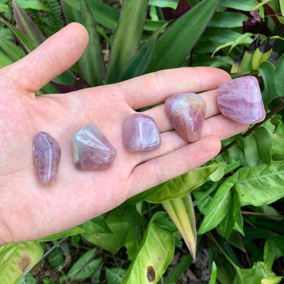 https://i.etsystatic.com/12652071/r/il/566aa4/3143677043/il_570xN.3143677043_58cd.jpg