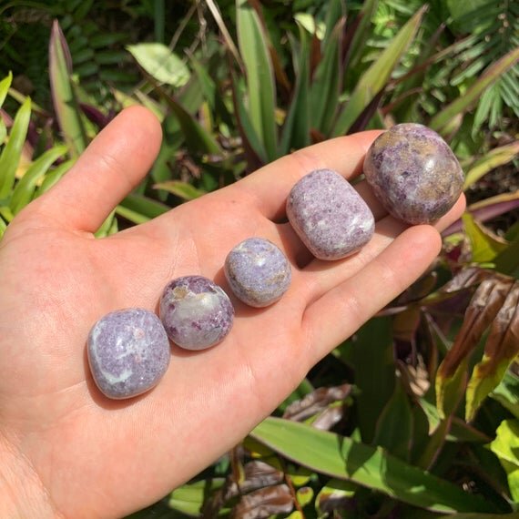 Lepidolite Hand Polished Stones (1-1.50 Inch - AA Grade - 16-24 Pieces Per Pound) Ethically Sourced from Peru - Beyond Bohemian