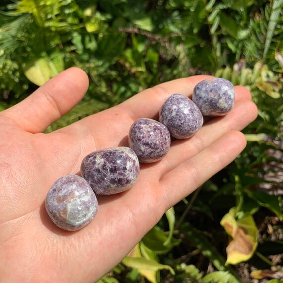 Lepidolite Hand Polished Stones (1-1.50 Inch - AA Grade - 16-24 Pieces Per Pound) Ethically Sourced from Peru - Beyond Bohemian